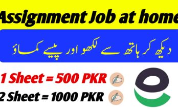 Assignment job without Investment 2024